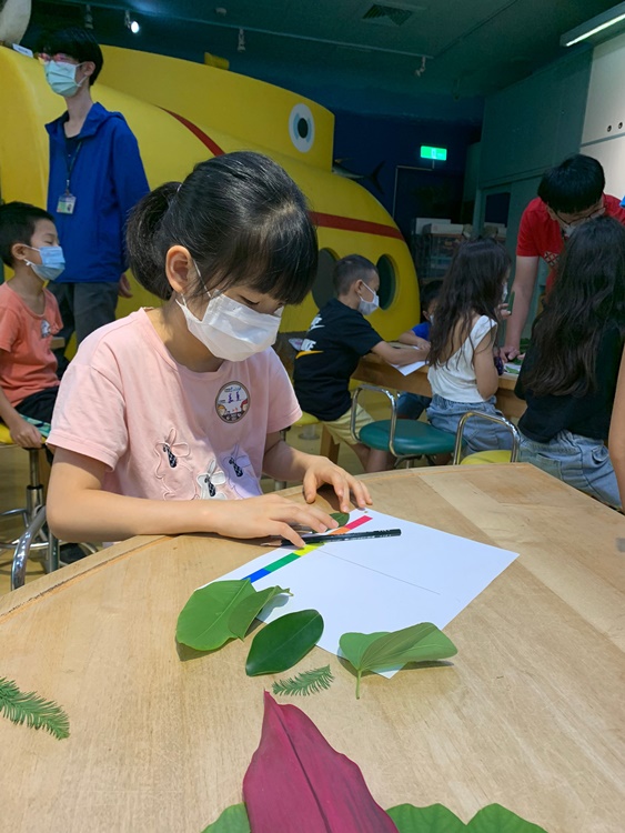 幼兒園：綠葉仙蹤(7/14-15)-圖片200