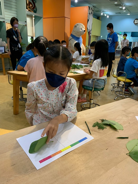 幼兒園：綠葉仙蹤(7/14-15)-圖片205