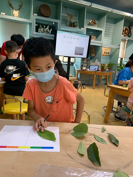 幼兒園：綠葉仙蹤(7/14-15)-圖片206