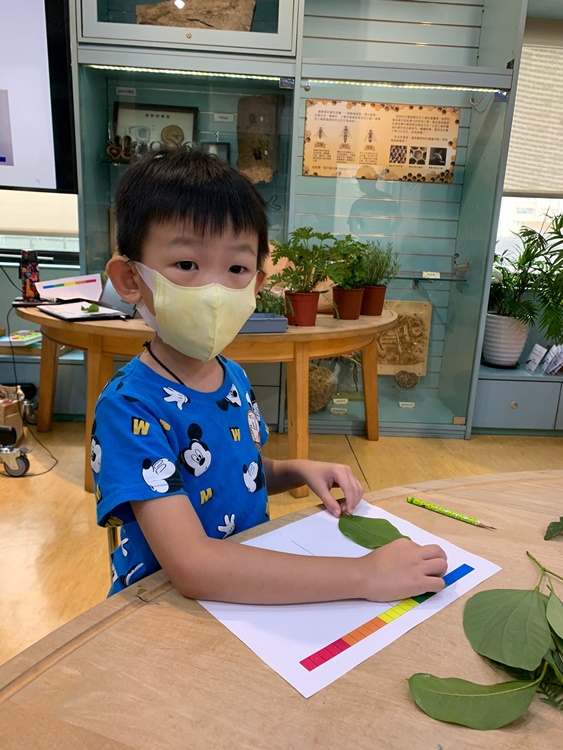 幼兒園：綠葉仙蹤(7/14-15)-圖片208