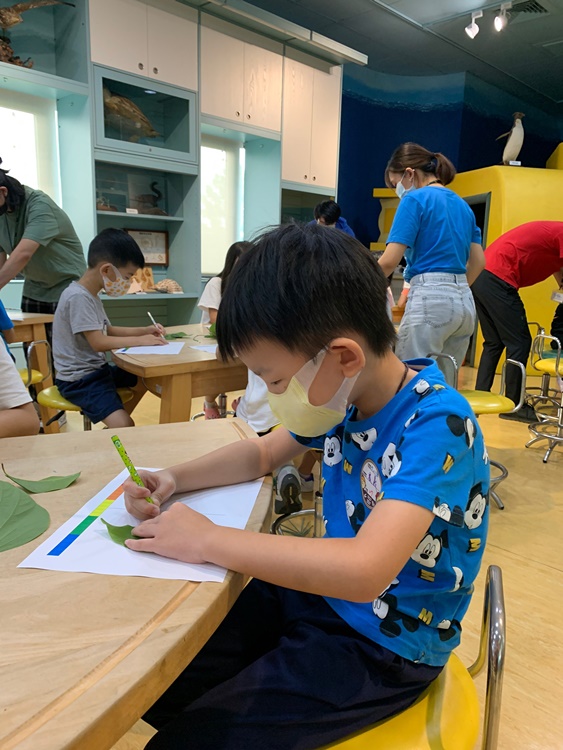 幼兒園：綠葉仙蹤(7/14-15)-圖片211