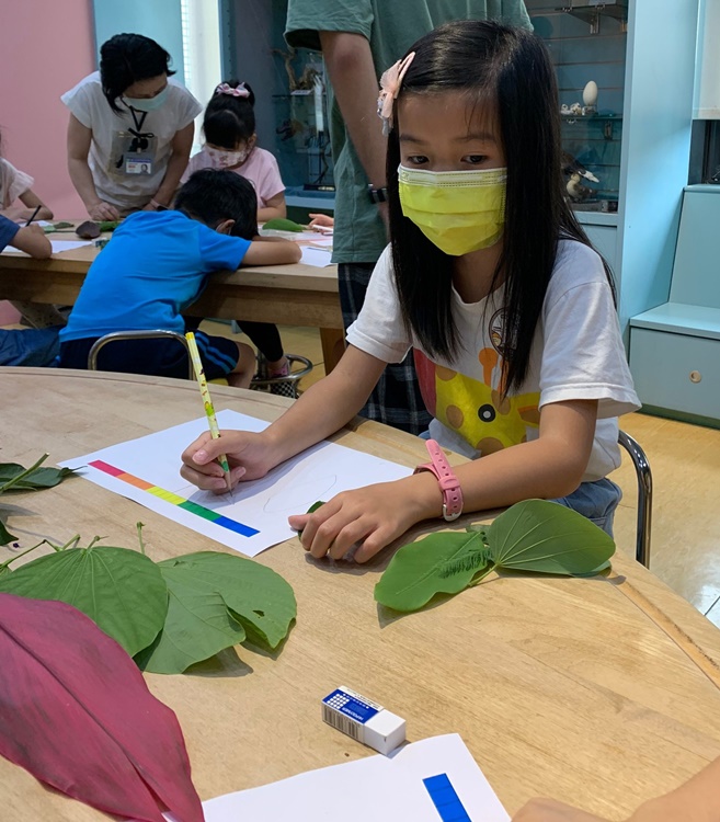 幼兒園：綠葉仙蹤(7/14-15)-圖片216