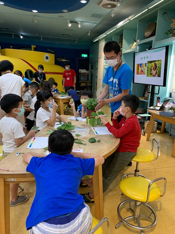 幼兒園：綠葉仙蹤(7/14-15)-圖片219