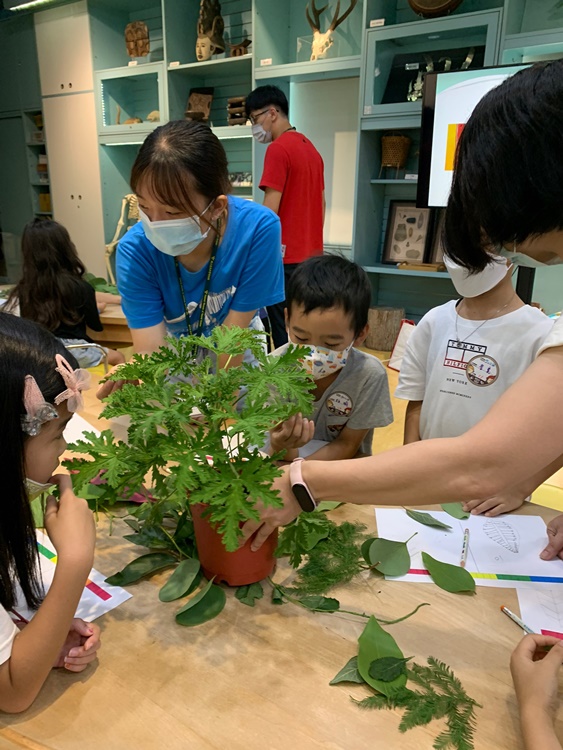 幼兒園：綠葉仙蹤(7/14-15)-圖片221