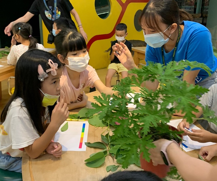 幼兒園：綠葉仙蹤(7/14-15)-圖片222