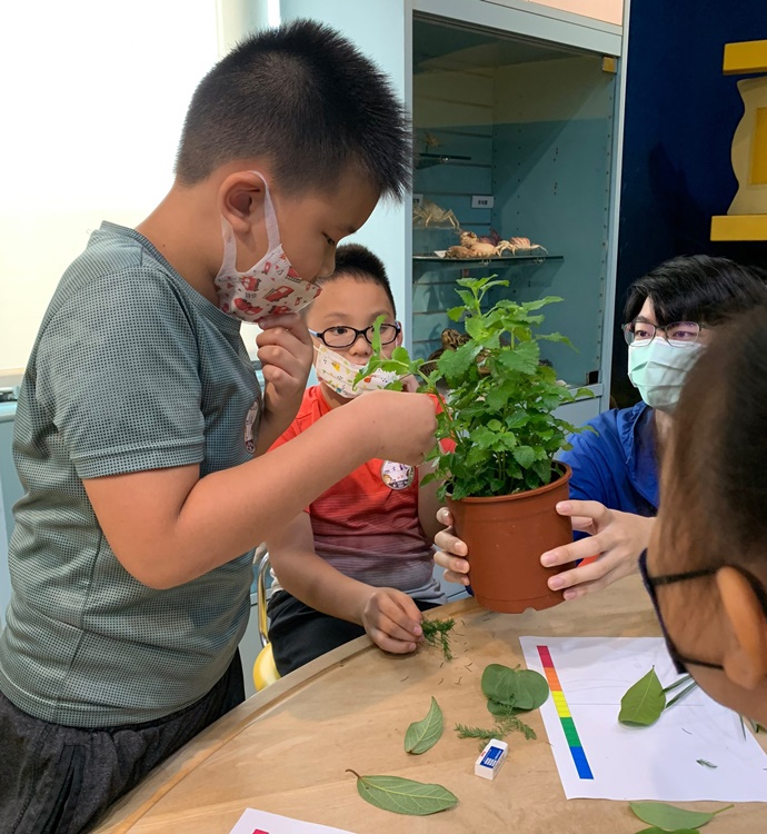 幼兒園：綠葉仙蹤(7/14-15)-圖片223