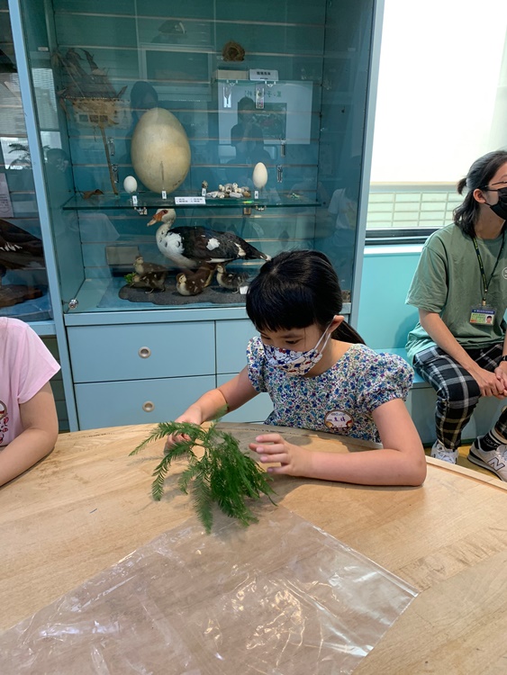 幼兒園：綠葉仙蹤(7/14-15)-圖片224
