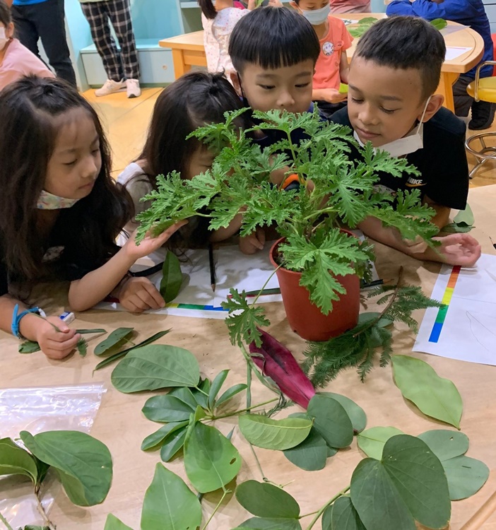 幼兒園：綠葉仙蹤(7/14-15)-圖片225