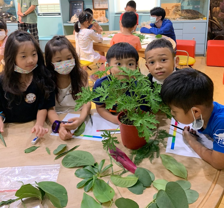 幼兒園：綠葉仙蹤(7/14-15)-圖片226