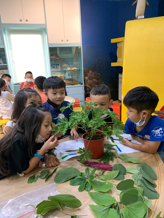 幼兒園：綠葉仙蹤(7/14-15)-圖片227