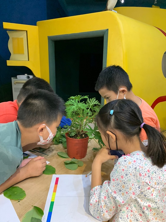 幼兒園：綠葉仙蹤(7/14-15)-圖片228