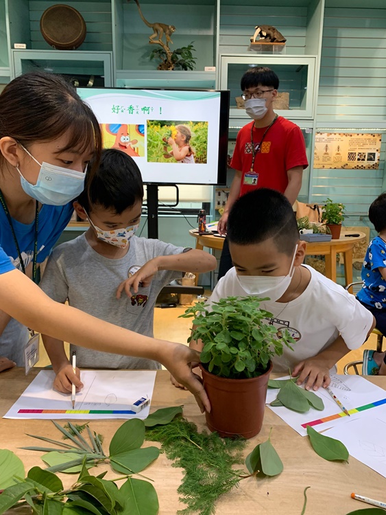 幼兒園：綠葉仙蹤(7/14-15)-圖片229