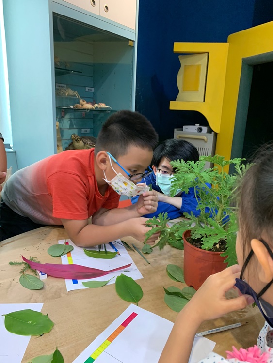 幼兒園：綠葉仙蹤(7/14-15)-圖片230