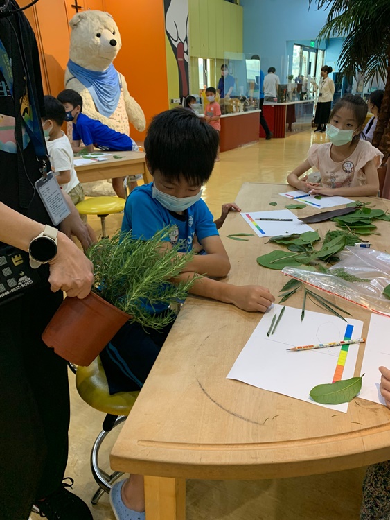 幼兒園：綠葉仙蹤(7/14-15)-圖片234