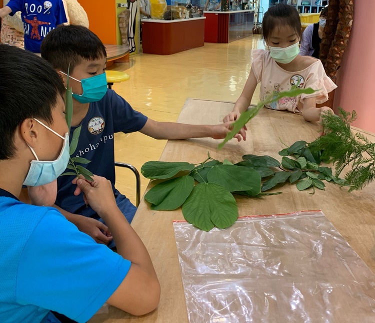 幼兒園：綠葉仙蹤(7/14-15)-圖片235