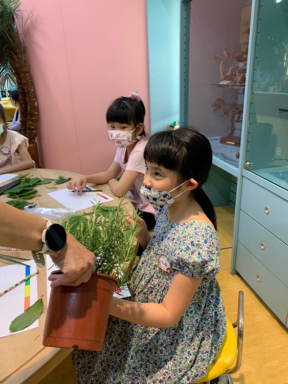 幼兒園：綠葉仙蹤(7/14-15)-圖片236