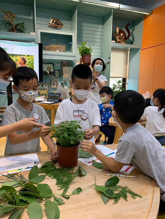 幼兒園：綠葉仙蹤(7/14-15)-圖片237