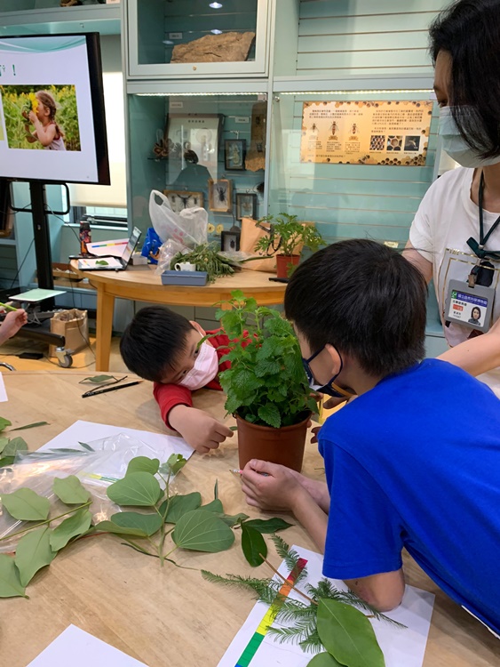 幼兒園：綠葉仙蹤(7/14-15)-圖片238