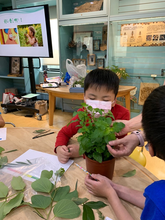 幼兒園：綠葉仙蹤(7/14-15)-圖片239