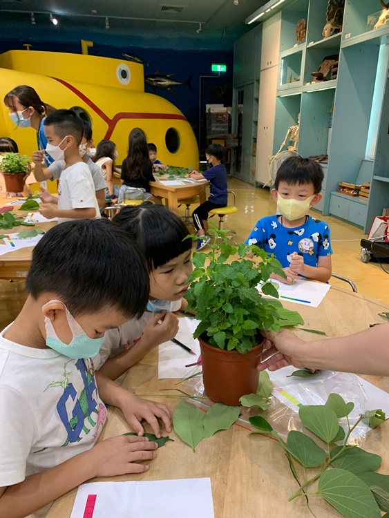 幼兒園：綠葉仙蹤(7/14-15)-圖片240