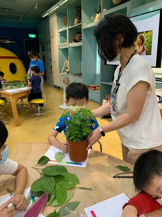 幼兒園：綠葉仙蹤(7/14-15)-圖片241