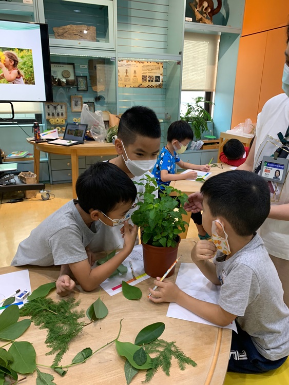幼兒園：綠葉仙蹤(7/14-15)-圖片242
