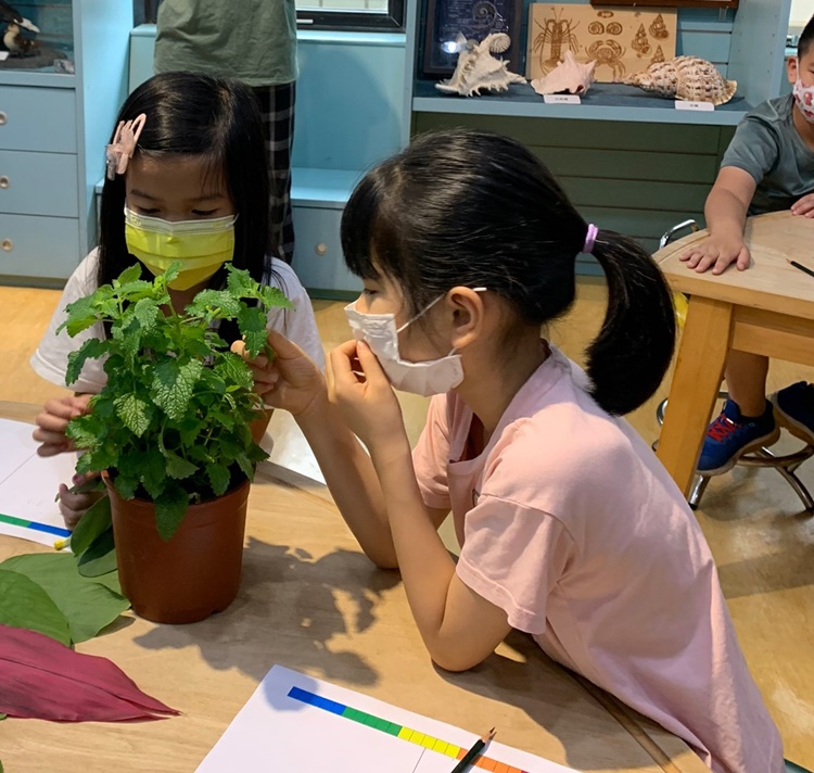 幼兒園：綠葉仙蹤(7/14-15)-圖片243