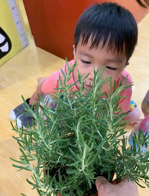 幼兒園：綠葉仙蹤(7/14-15)-圖片244