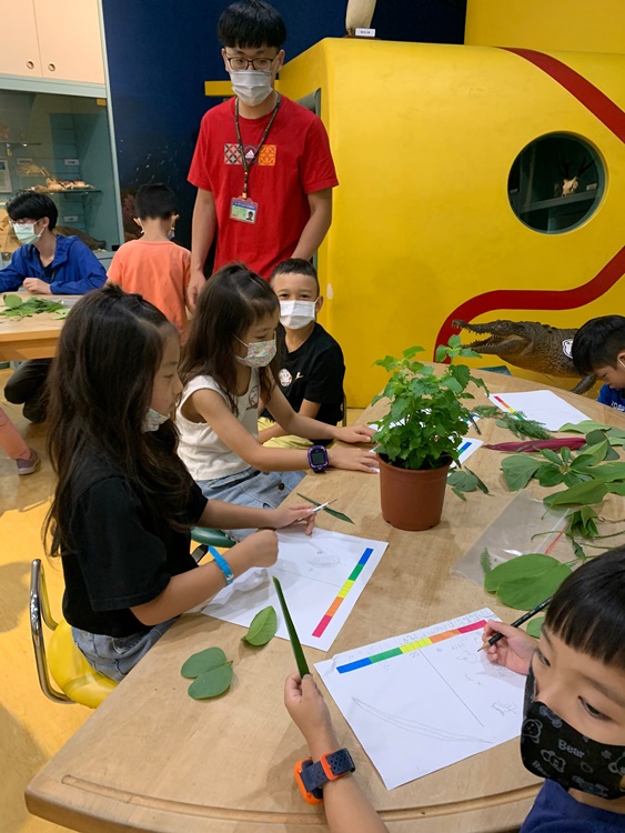 幼兒園：綠葉仙蹤(7/14-15)-圖片245