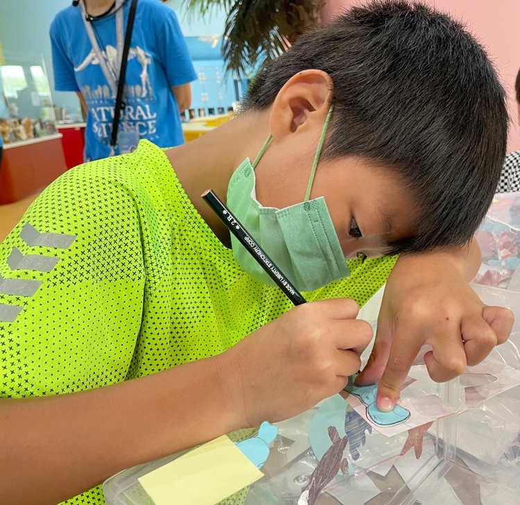 幼兒園：小海龜的超級任務(7/19-20)-圖片1
