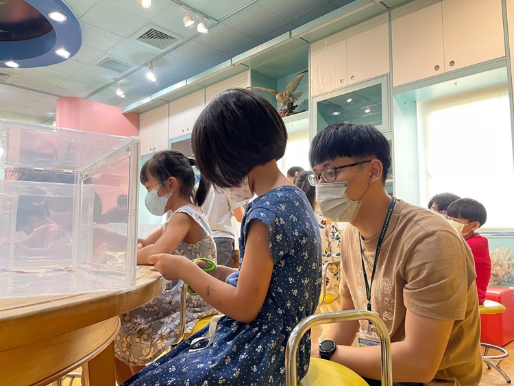 幼兒園：小海龜的超級任務(7/19-20)-圖片2