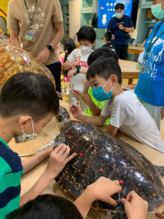 幼兒園：小海龜的超級任務(7/19-20)-圖片3
