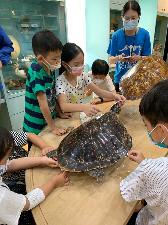 幼兒園：小海龜的超級任務(7/19-20)-圖片4