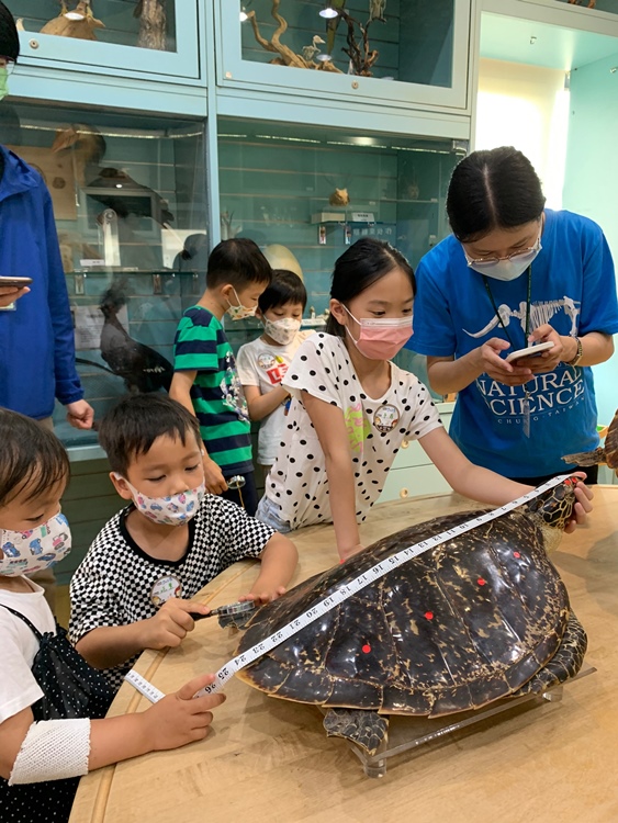 幼兒園：小海龜的超級任務(7/19-20)-圖片5