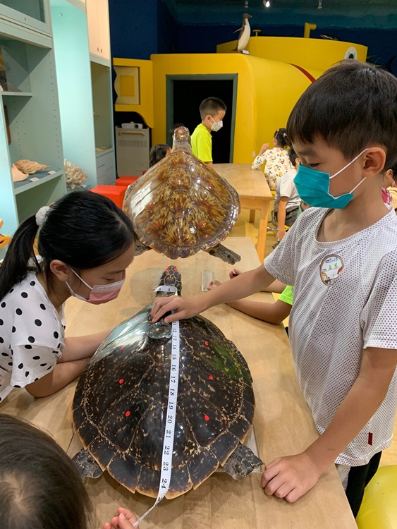 幼兒園：小海龜的超級任務(7/19-20)-圖片6
