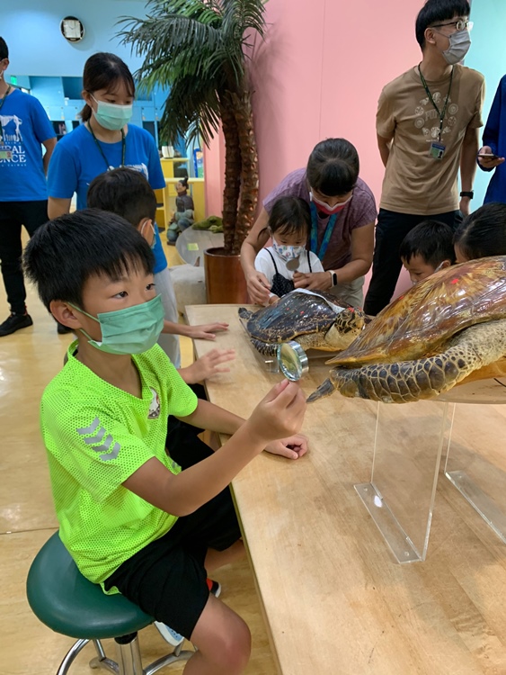 幼兒園：小海龜的超級任務(7/19-20)-圖片7