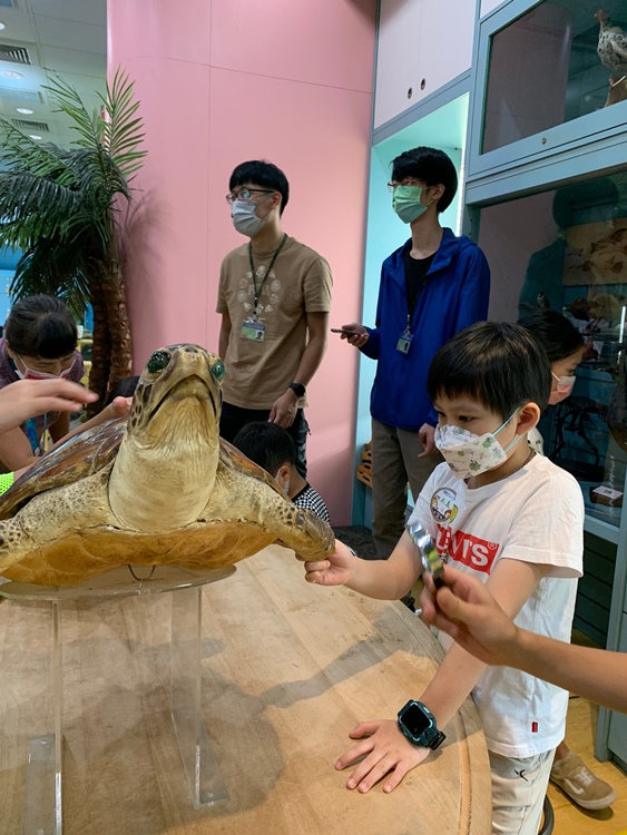幼兒園：小海龜的超級任務(7/19-20)-圖片8