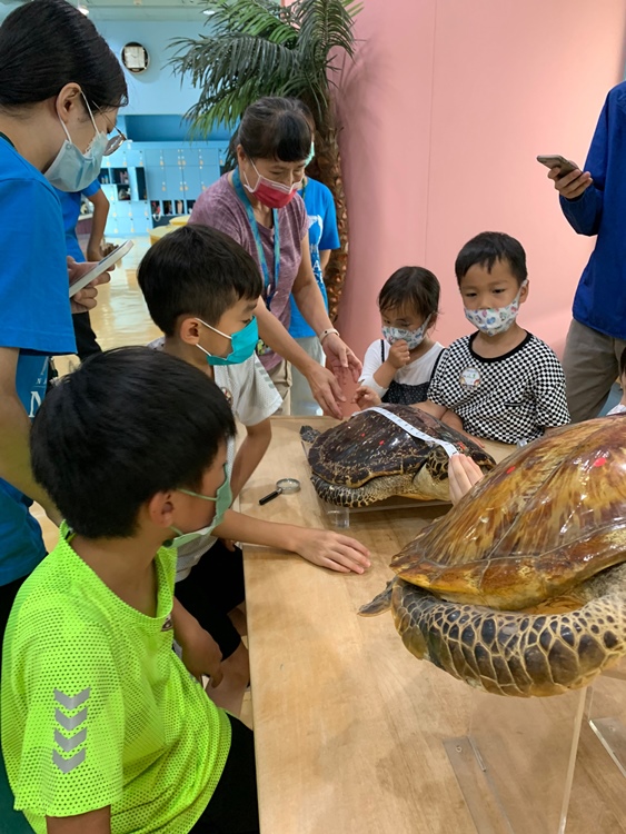 幼兒園：小海龜的超級任務(7/19-20)-圖片9
