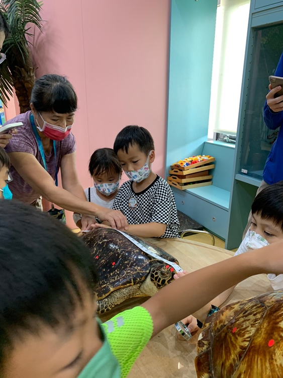 幼兒園：小海龜的超級任務(7/19-20)-圖片10
