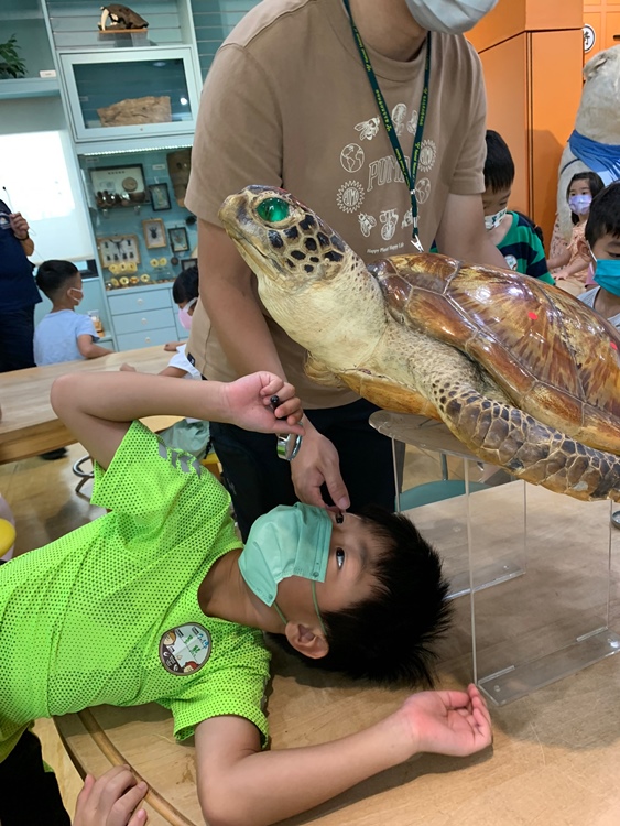 幼兒園：小海龜的超級任務(7/19-20)-圖片11