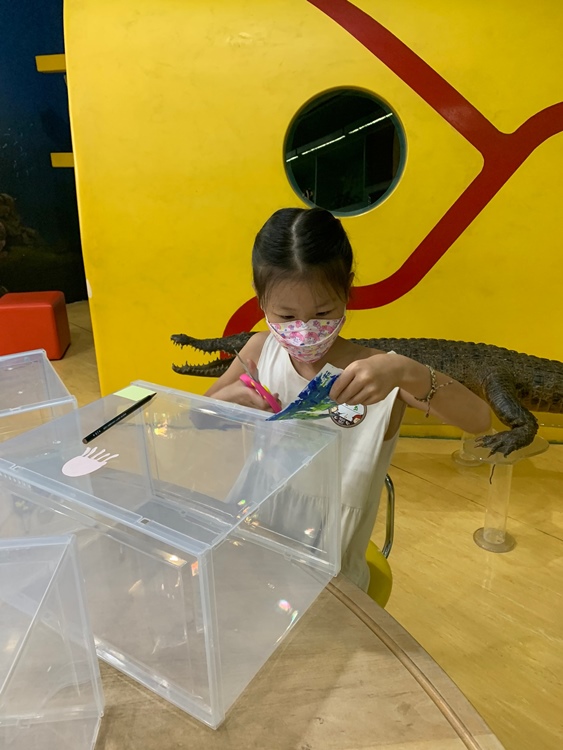幼兒園：小海龜的超級任務(7/19-20)-圖片12