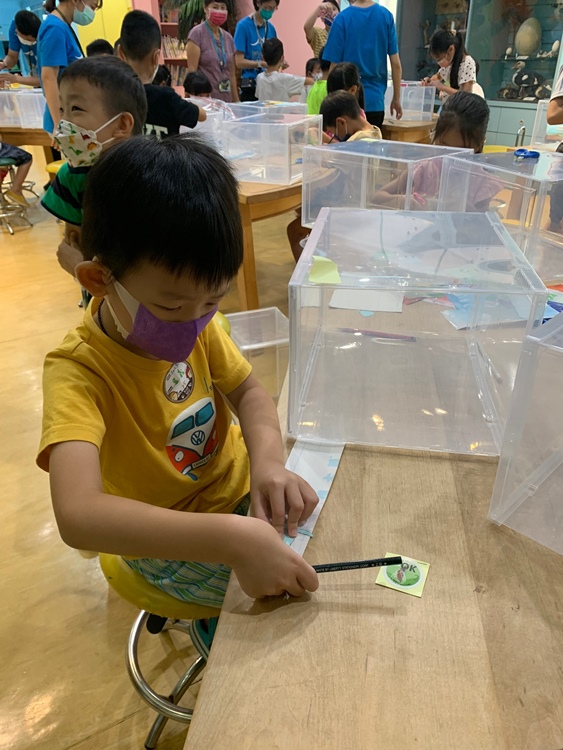 幼兒園：小海龜的超級任務(7/19-20)-圖片14