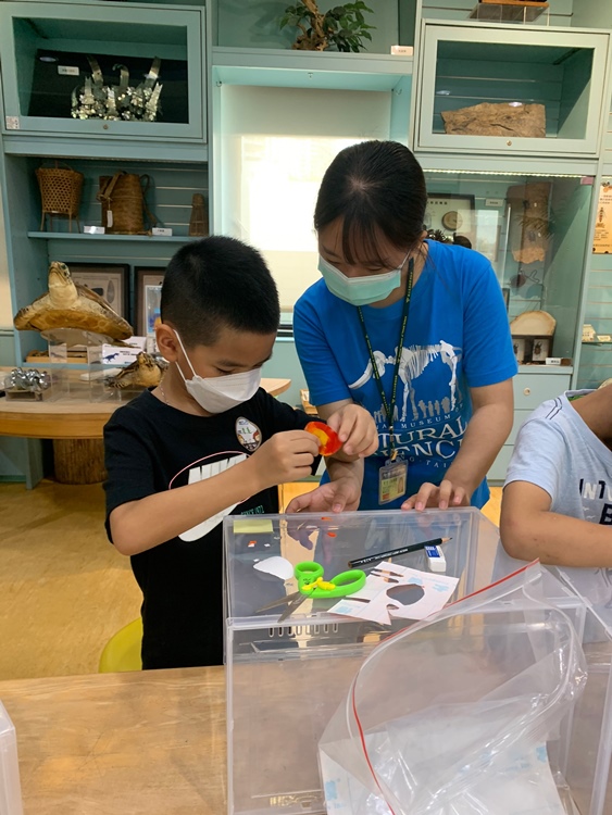 幼兒園：小海龜的超級任務(7/19-20)-圖片18