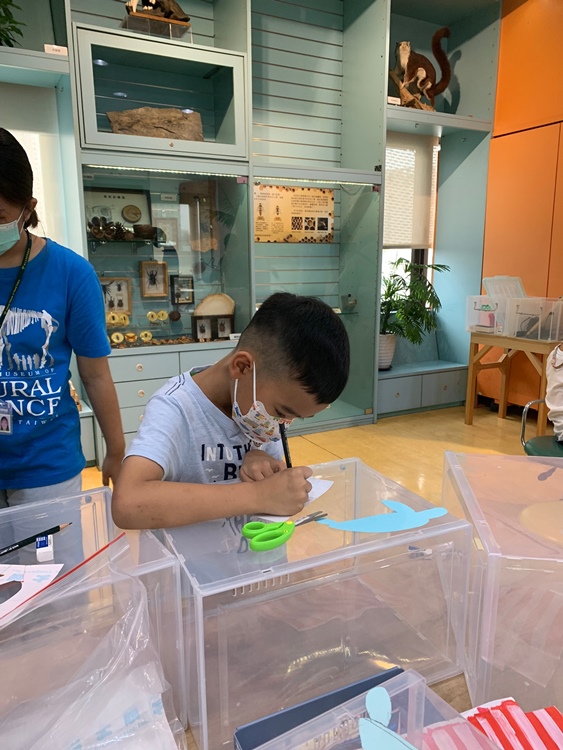 幼兒園：小海龜的超級任務(7/19-20)-圖片19