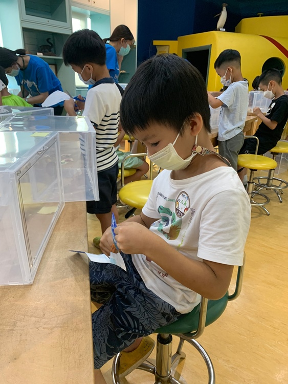 幼兒園：小海龜的超級任務(7/19-20)-圖片23