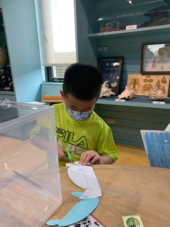 幼兒園：小海龜的超級任務(7/19-20)-圖片28