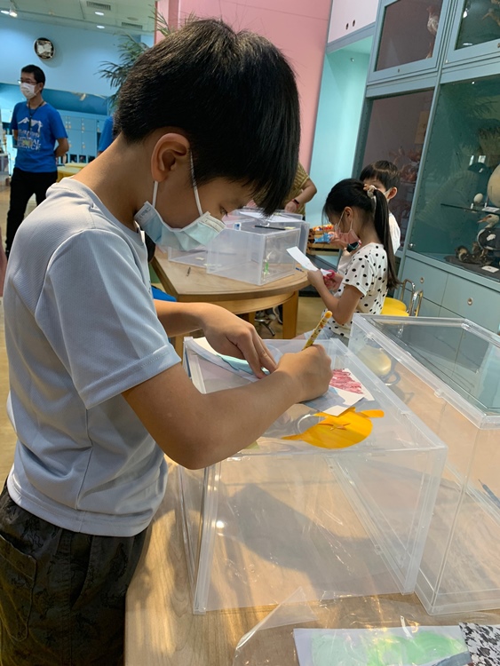 幼兒園：小海龜的超級任務(7/19-20)-圖片30