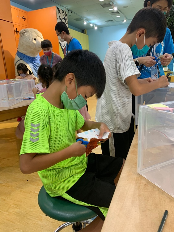 幼兒園：小海龜的超級任務(7/19-20)-圖片32