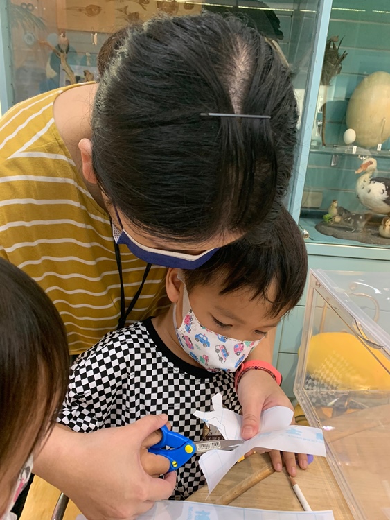幼兒園：小海龜的超級任務(7/19-20)-圖片38