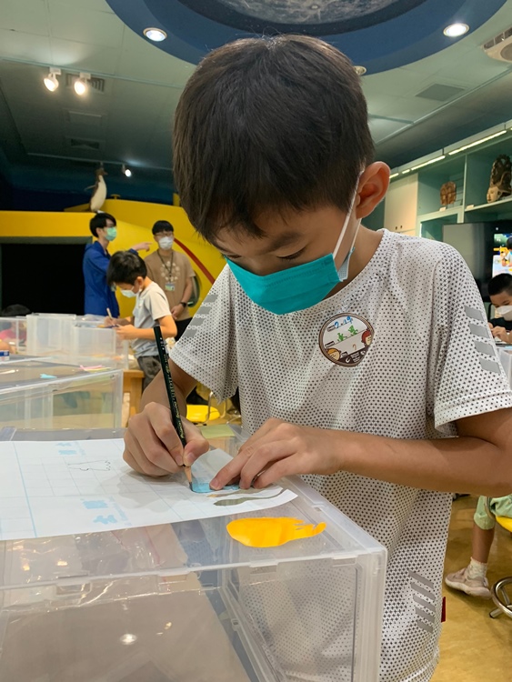 幼兒園：小海龜的超級任務(7/19-20)-圖片41